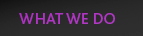 What We Do